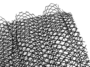 Protierozní georohož Trinter